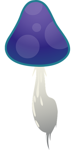 Free mushroom cap fungi vector