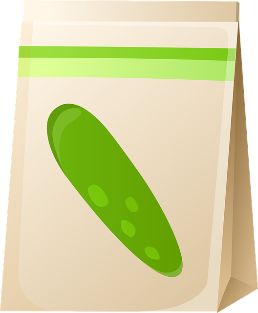 Free bag seeds food vector
