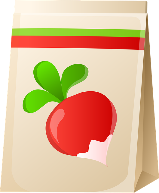 Download free HD stock image of Bag Seeds Free bag seeds food vector