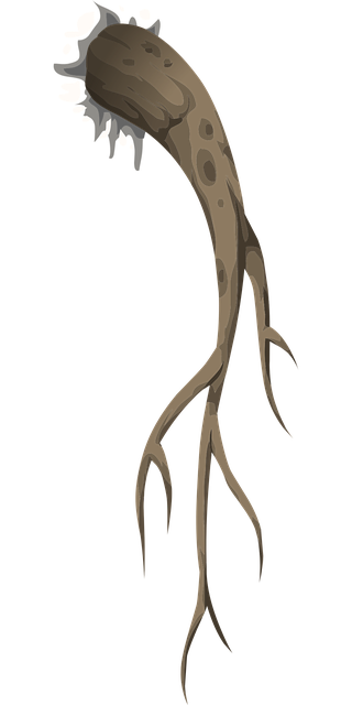 Free branch root plant vector