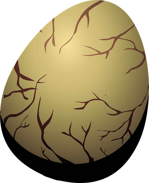 Free egg veins brown vector