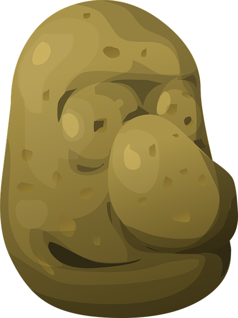 Free face carved rock vector