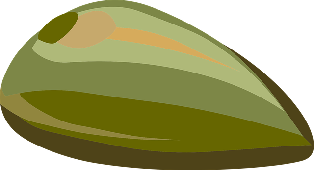 Samen, Mutter, Grün, Brown, Oval