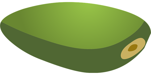 Free seed nut green vector