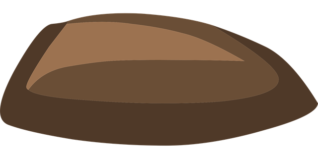 Free seed nut brown vector