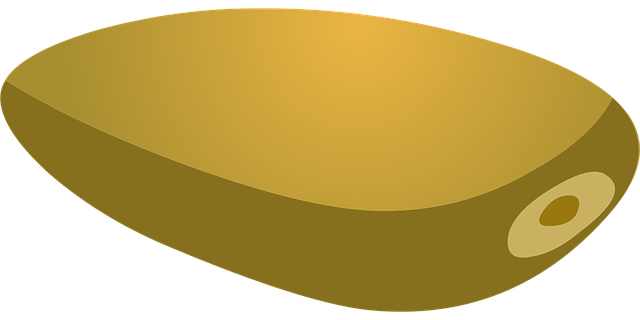 Free seed nut beige vector