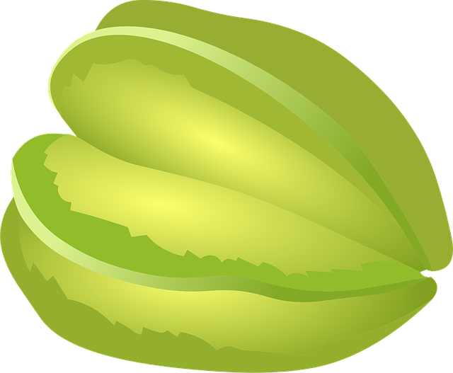 Free seed growth green vector