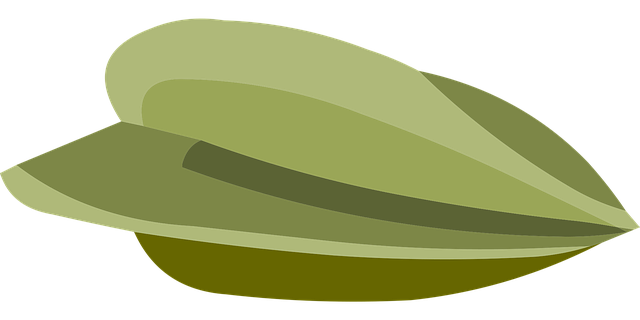 Free seed growth green vector