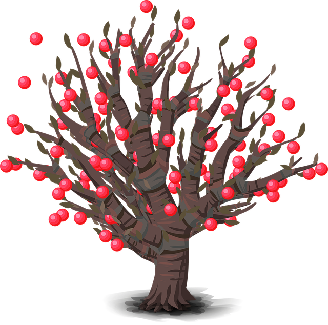 Bäume, Rot, Beeren, Früchte, Wald