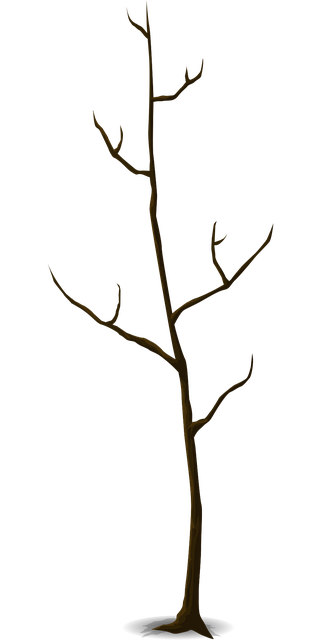 Free tree trunk nature vector
