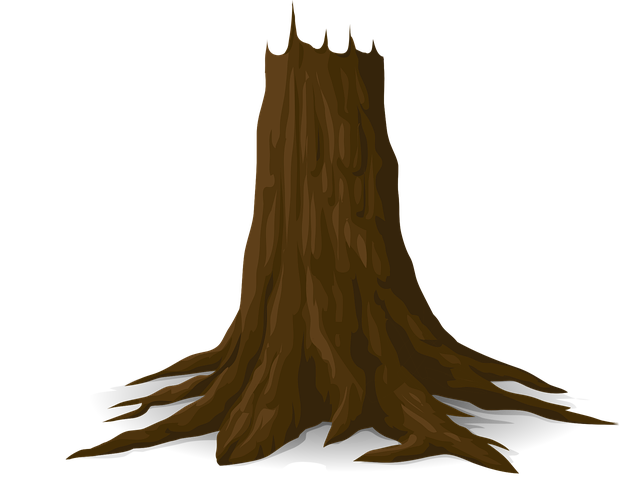 Free branche tree nature illustration
