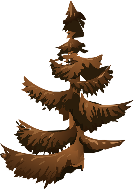 Free conifer fir tree tree illustration