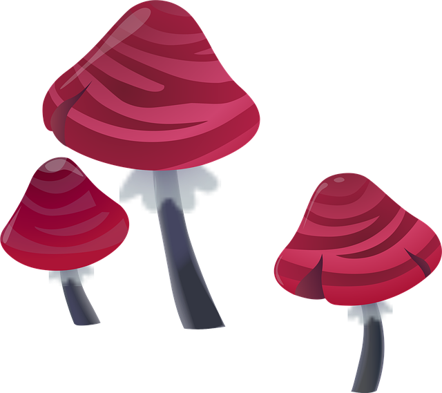 Free mushrooms pink plants vector