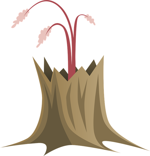 Free tree branches trunk vector