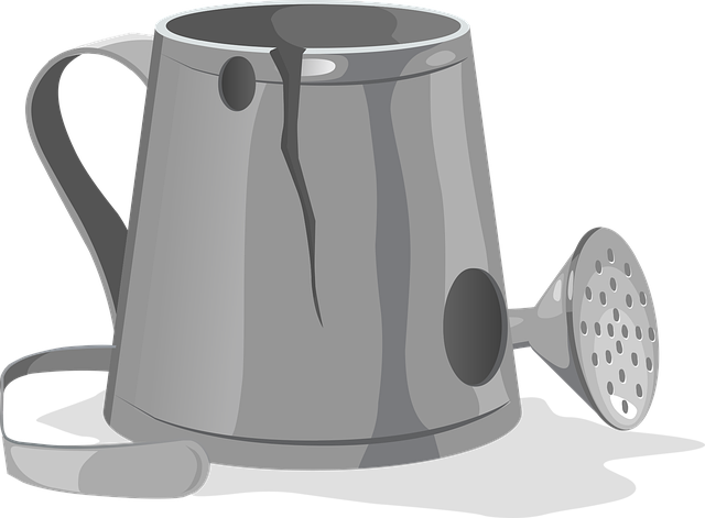 Free watering can metal gardening vector