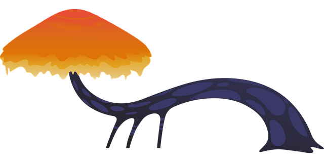 Free Fungus Trunk vector and picture