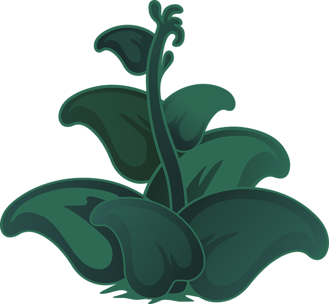 Free plants green leaves vector