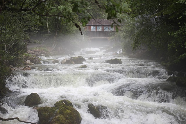 Free Water Flow photo and picture