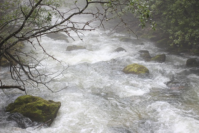 Free Water Haze photo and picture