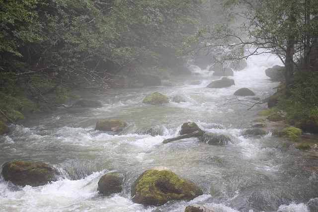 Free Water Haze photo and picture
