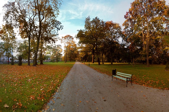 Free Autumn Park photo and picture