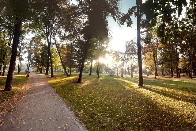 Free Autumn Park photo and picture