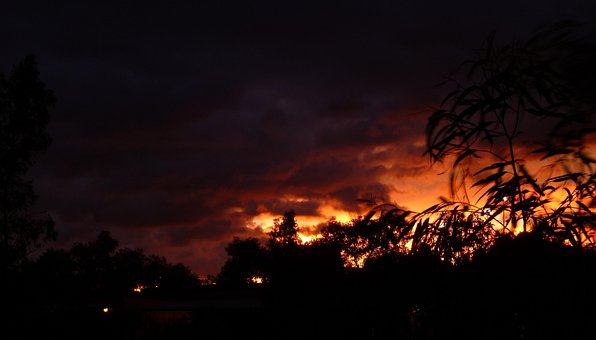 Zonsondergang, Bladeren, Natuur