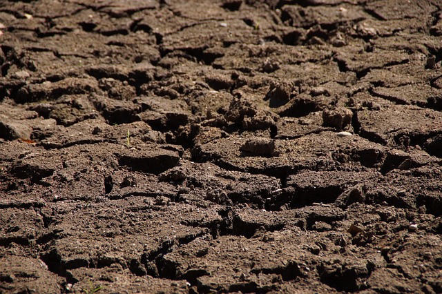 Free Dryness Drought photo and picture