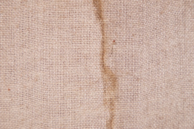Free Canvas Texture photo and picture