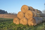 straw, straw bales, round bales