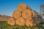 straw, straw bales, round bales