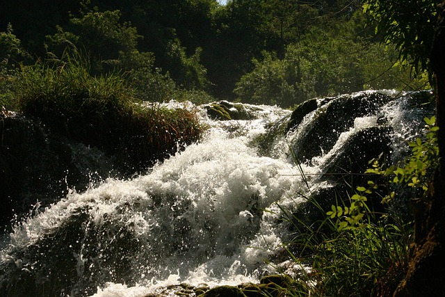 Free Rapids Water photo and picture