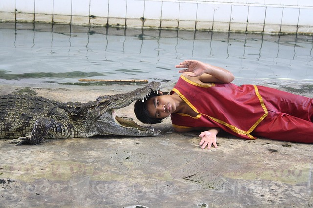 Free Fakir Crocodile photo and picture