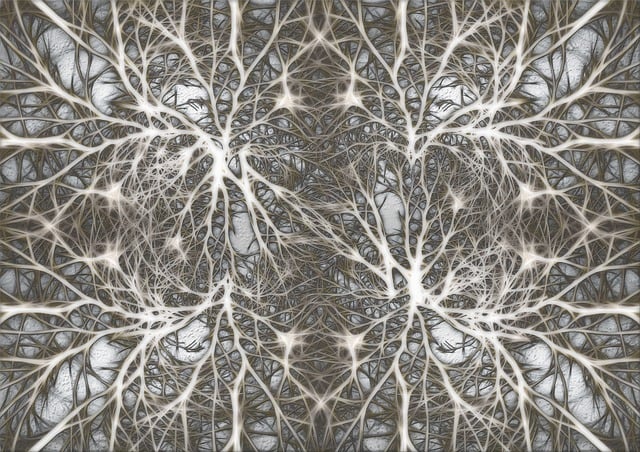 Free neurons brain cells brain structure illustration