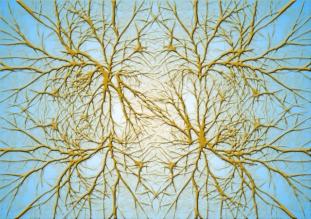 neurons brain cells free image on pixabay free mesh downloads