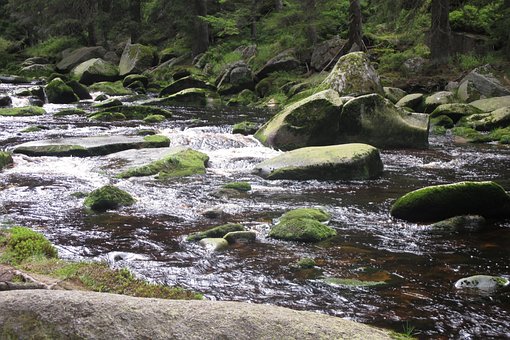 Free River Šumava photo and picture
