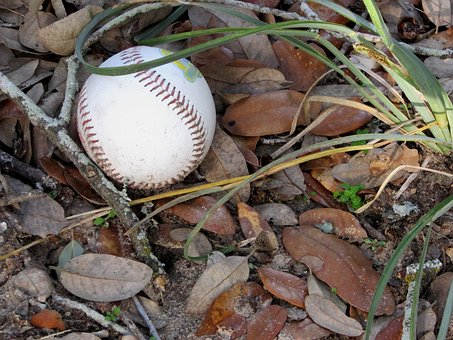 Free Baseball Ball photo and picture