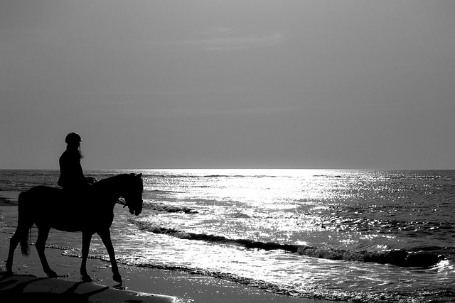 Free Horse Rider photo and picture