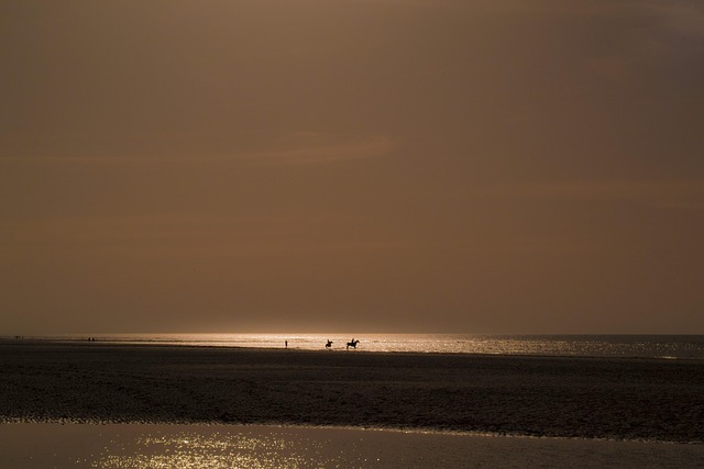 Free Beach Sea photo and picture