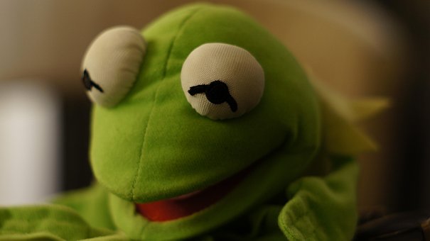 Kermit, Rã, Verde, Bicho De Pelúcia