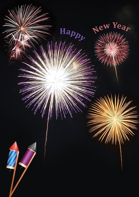 Free sylvester new year's day new year's eve illustration