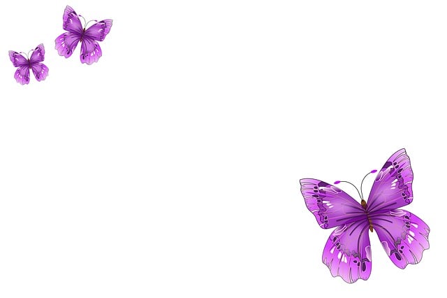 Free butterflies postcard motif background illustration