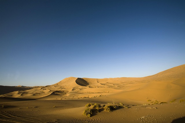 Free Desolate Desert photo and picture