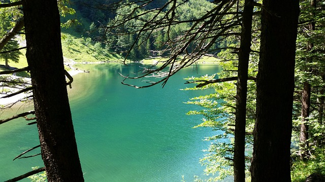 Free Seealpsee Switzerland photo and picture
