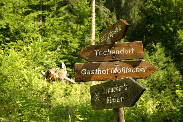 Free Fork In The Road Signpost photo and picture
