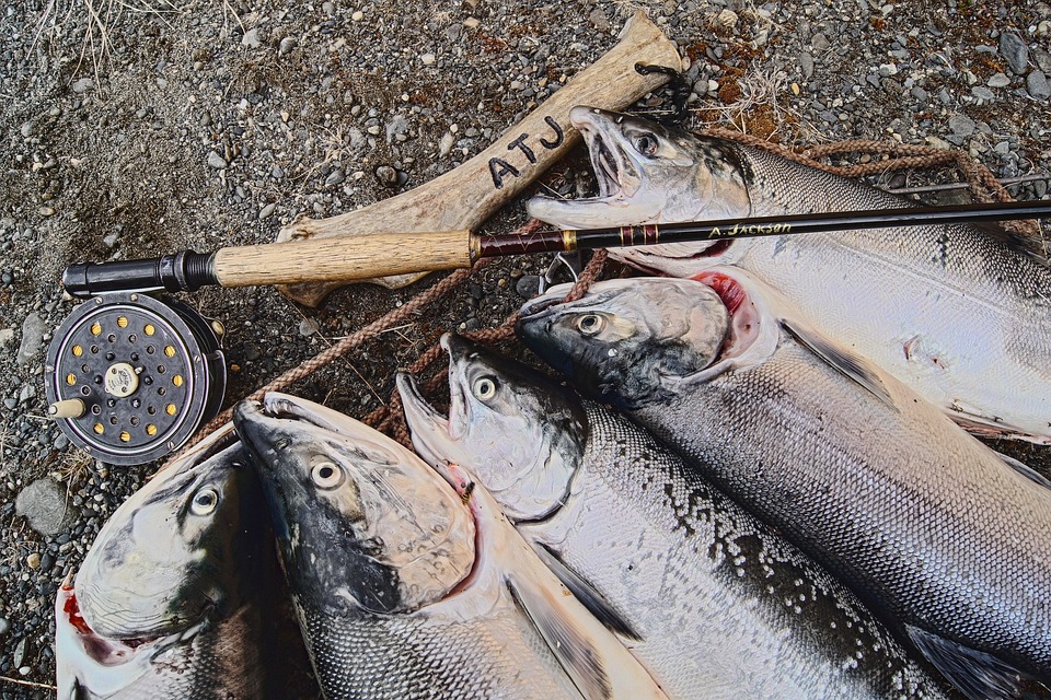 The Art of Dry Fly Fishing: Tips and Techniques for Success