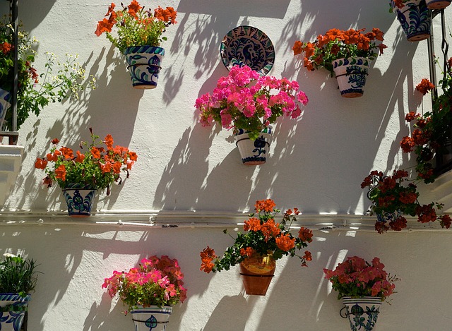 Free Spain Andalusia photo and picture