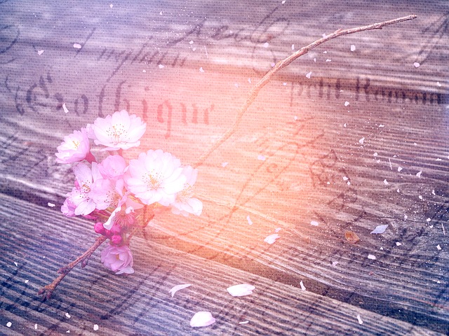 Free flowering branch wood writing illustration