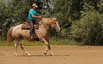 western riding, ride, cowboy