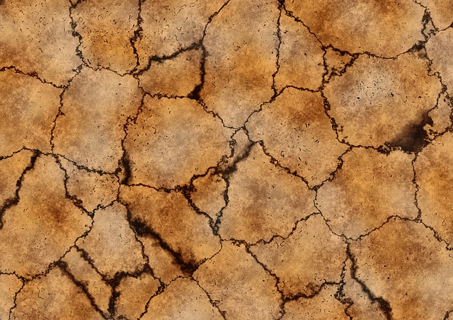 Free earth cracks dirt illustration